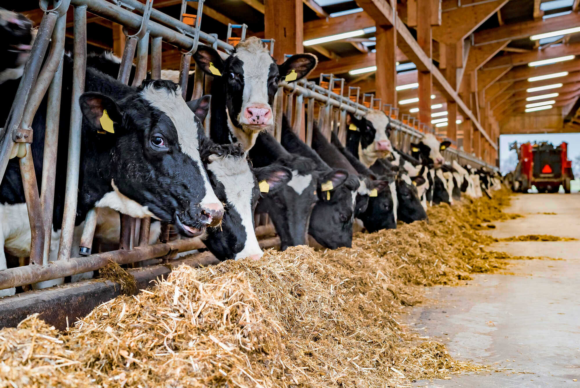 Landwirtschaftliche Betriebe